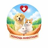 Telegram profile photo for 𝒫ℴ𝓂ℴ𝓈𝒸𝒽ь 𝓏𝒽𝒾𝓋ℴ𝓉𝓃𝓎𝓂 —Помощь животным