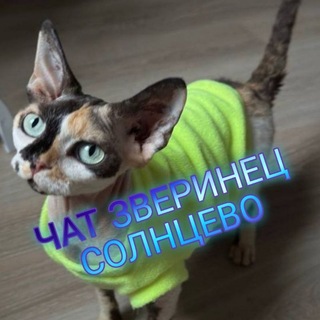 Telegram group profile photo for Зверинец Солнцево чат