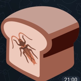 Telegram profile photo for Тикток Юли