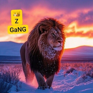 Telegram profile photo for 👑💣gange💎zulfi millet💣👑