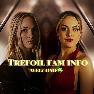 Telegram profile photo for ☘️: 𝙏𝙧𝙚𝙛𝙤𝙞𝙡 𝙞𝙣𝙛𝙤
