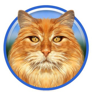 Telegram group profile photo for RDC Official Group