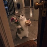 Telegram profile photo for 𝕜𝕒𝕫𝕙𝕖 | کـــــاژه