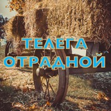 Telegram profile photo for ТЕЛЕГА ОТРАДНОЙ