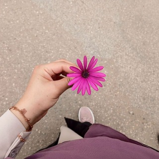 Telegram profile photo for Huda Ashraf🌸