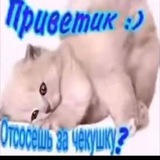 Telegram profile photo for Чекушка
