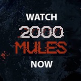 Telegram profile photo for Watch2000MulesNow