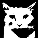 Telegram profile photo for knallstadt needs medical help (REALLY)