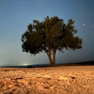 Telegram profile photo for ABDULRAHMAN | A1NR