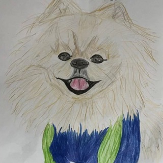 Telegram profile photo for Рисую ваших питомцев 🐶