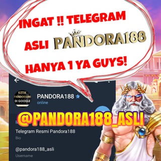 Telegram group profile photo for Group Official Pandora188