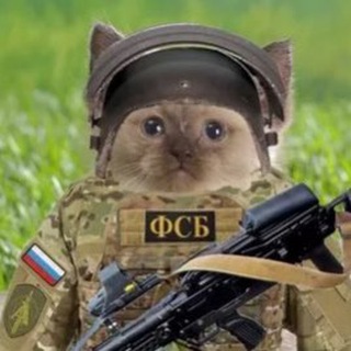 Telegram profile photo for военкор котенок <3