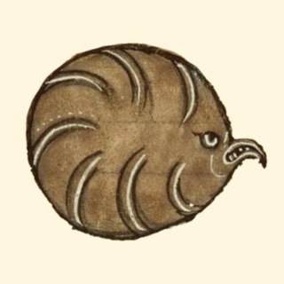Telegram profile photo for Челюсть Ранкора | Софья Зайцева