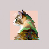 Telegram profile photo for Cat Callz