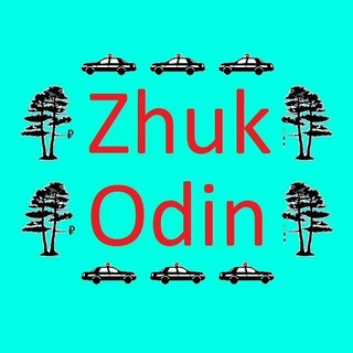 Telegram group profile photo for ZhukODIN