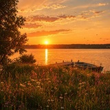Telegram profile photo for Отсчёт до конца лета 🌴☀️