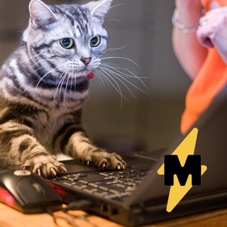 Telegram group profile photo for Medialeaks — чат с читателями
