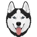 Telegram profile photo for Husky da Promoção