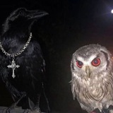 Telegram profile photo for Livr tarid