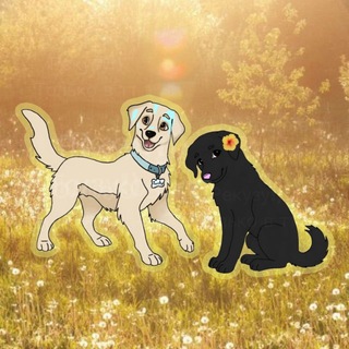 Telegram profile photo for ⲣⲉⲕⲩⳅⲩ!)☀️ПЕРЕШЛА!