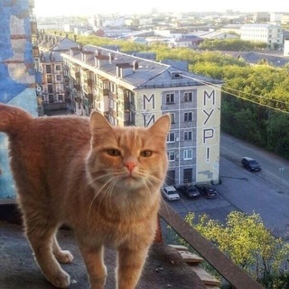 Telegram profile photo for Жилая зона химзавода