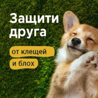 Telegram group profile photo for Симпарика | Бравекто | Simparica | Bravecto