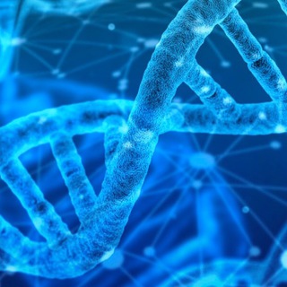 Telegram profile photo for Quantum Healing