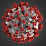 Telegram profile photo for CoronaVirus Notizie