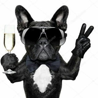 Telegram profile photo for Funny Pictures