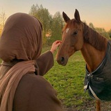 Telegram profile photo for حروف تائهة