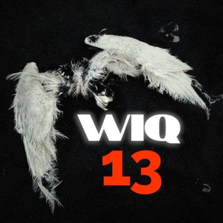 Telegram profile photo for wiQ13