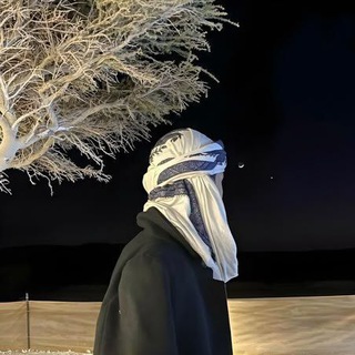 Telegram profile photo for 🌴Ibn Shamil 🌴