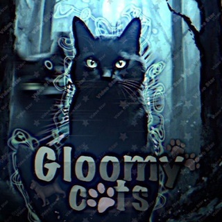 Telegram profile photo for •Ꮐlᴏᴏʍy..ᴄᴀᴛsᶜʰᵃᶰᵉᶫᶫ🐈⬛️