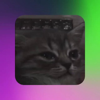 Telegram profile photo for Гоша больше не Гера