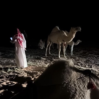 Telegram profile photo for مَشهد .
