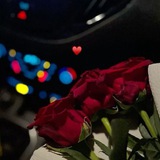 Telegram profile photo for „فَتاةٌ دِمَشقية„🤍🦋