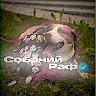 Telegram profile photo for Собачий Раф🐾