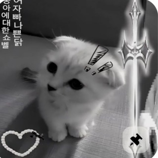 Telegram profile photo for stsHurricane