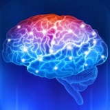 Telegram profile photo for OPTIMIZEX