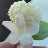 Telegram profile photo for خواطر العشاق