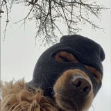 Telegram profile photo for Off