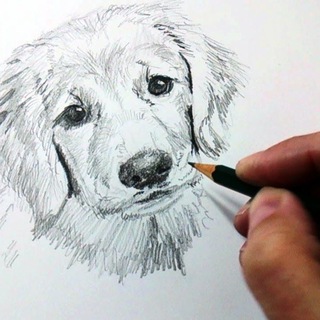 Telegram profile photo for Art Pdfs y Tips de Dibujo