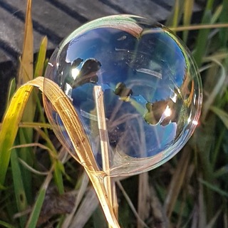 Telegram profile photo for Im Garten der Waldfee