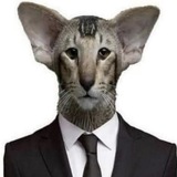 Telegram profile photo for Pulpey