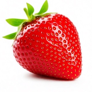 Telegram profile photo for 🍓Клубника, саженцы Пенза/Золотарёвка