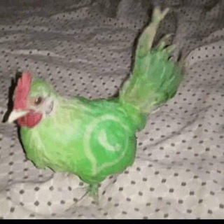 Telegram profile photo for 17shitcancerpost13