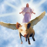Telegram profile photo for мунли мерч дает