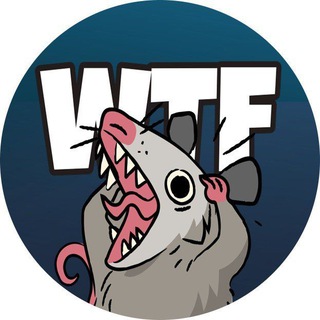 Telegram profile photo for WTFO Portal