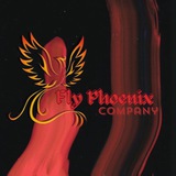 Telegram profile photo for PS—FLY PHOENIX
