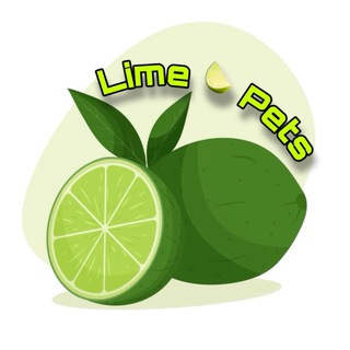 Telegram profile photo for 𝙡𝙞𝙢𝙚🍋🟩𝙥𝙚𝙩𝙨 || адресники
